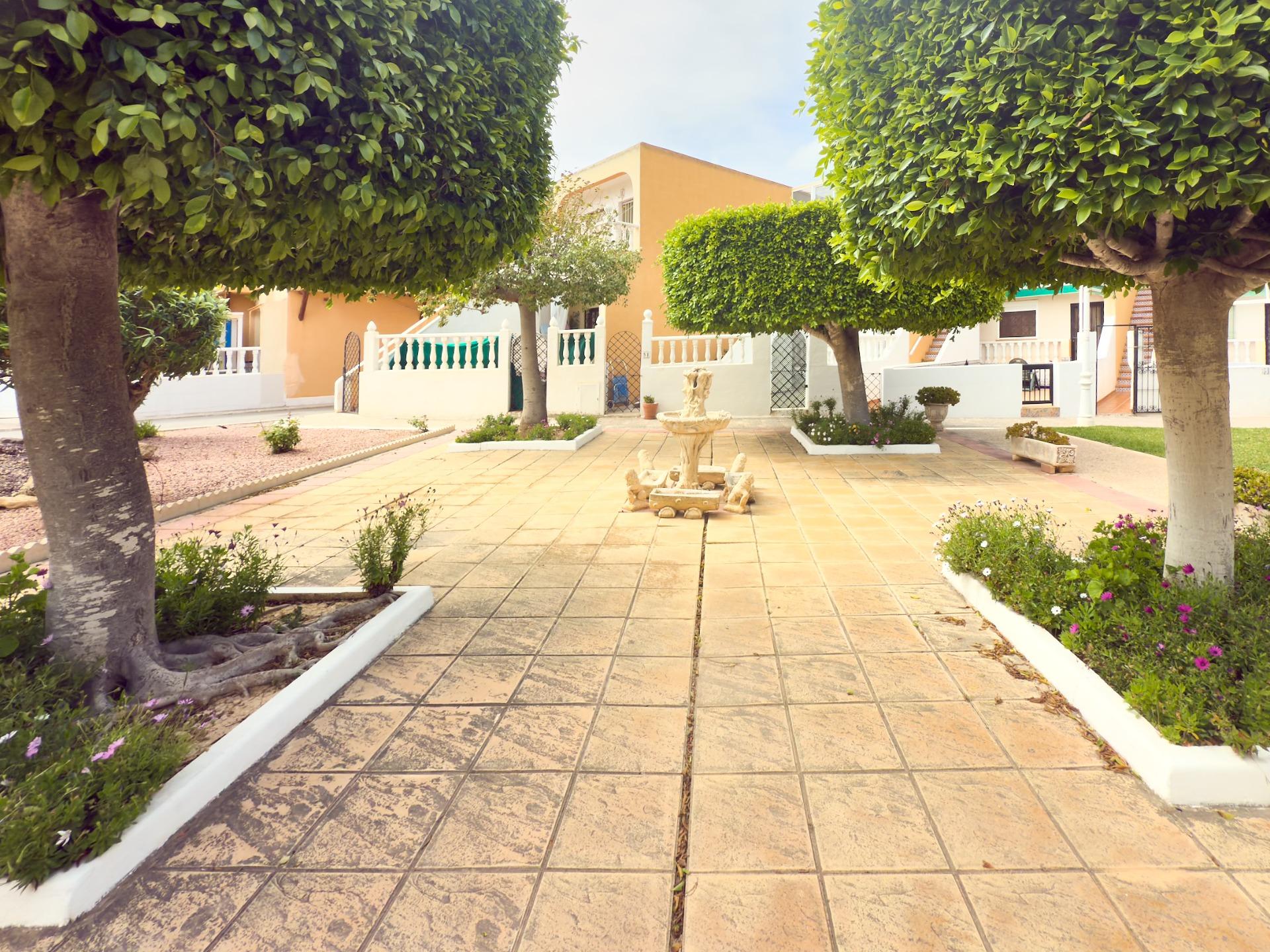 372011142_original.jpg