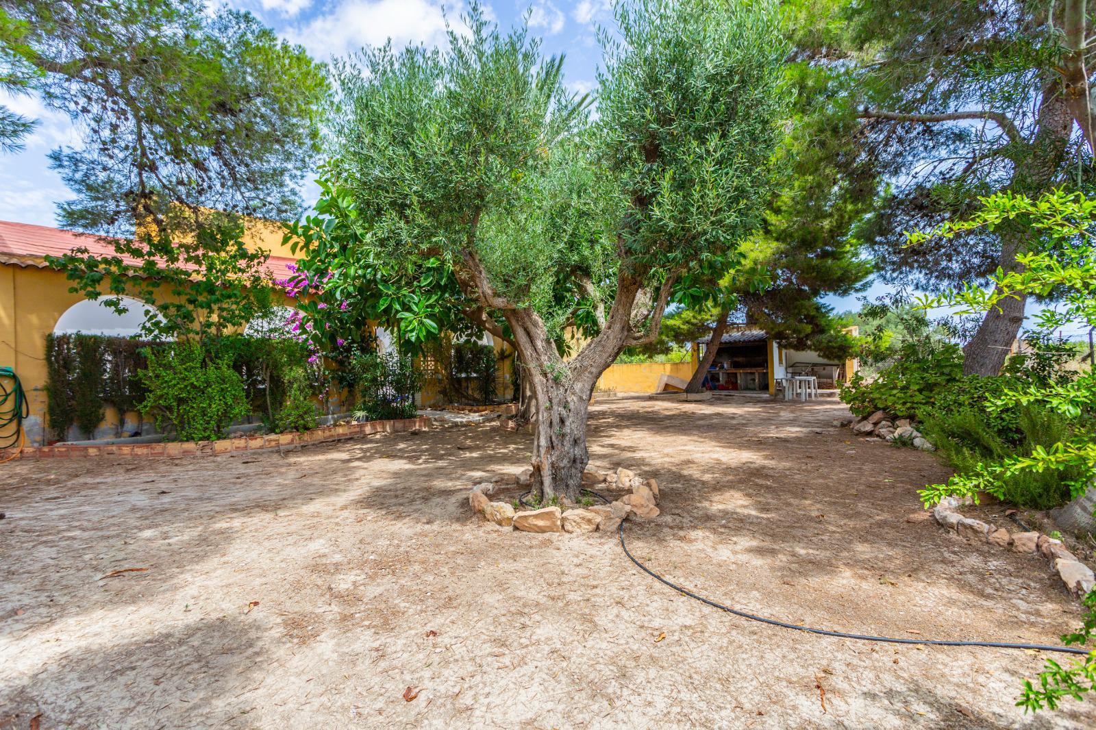Finca-Los-Montesinos-14.jpeg