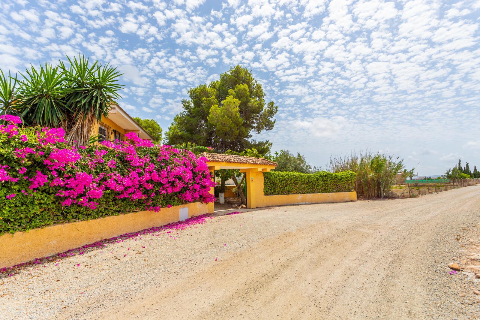 Finca-Los-Montesinos-21.jpeg