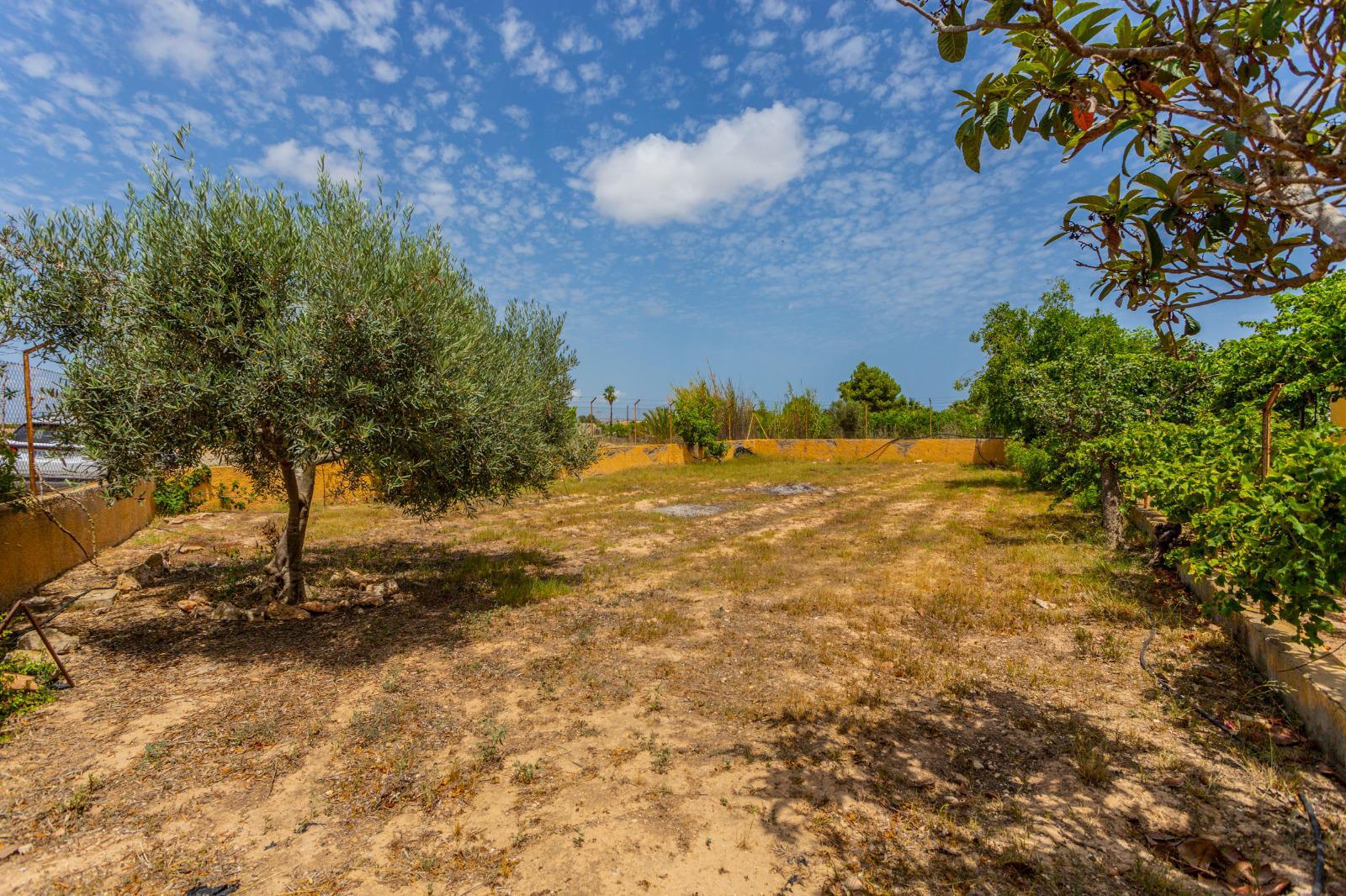 Finca-Los-Montesinos-25.jpeg