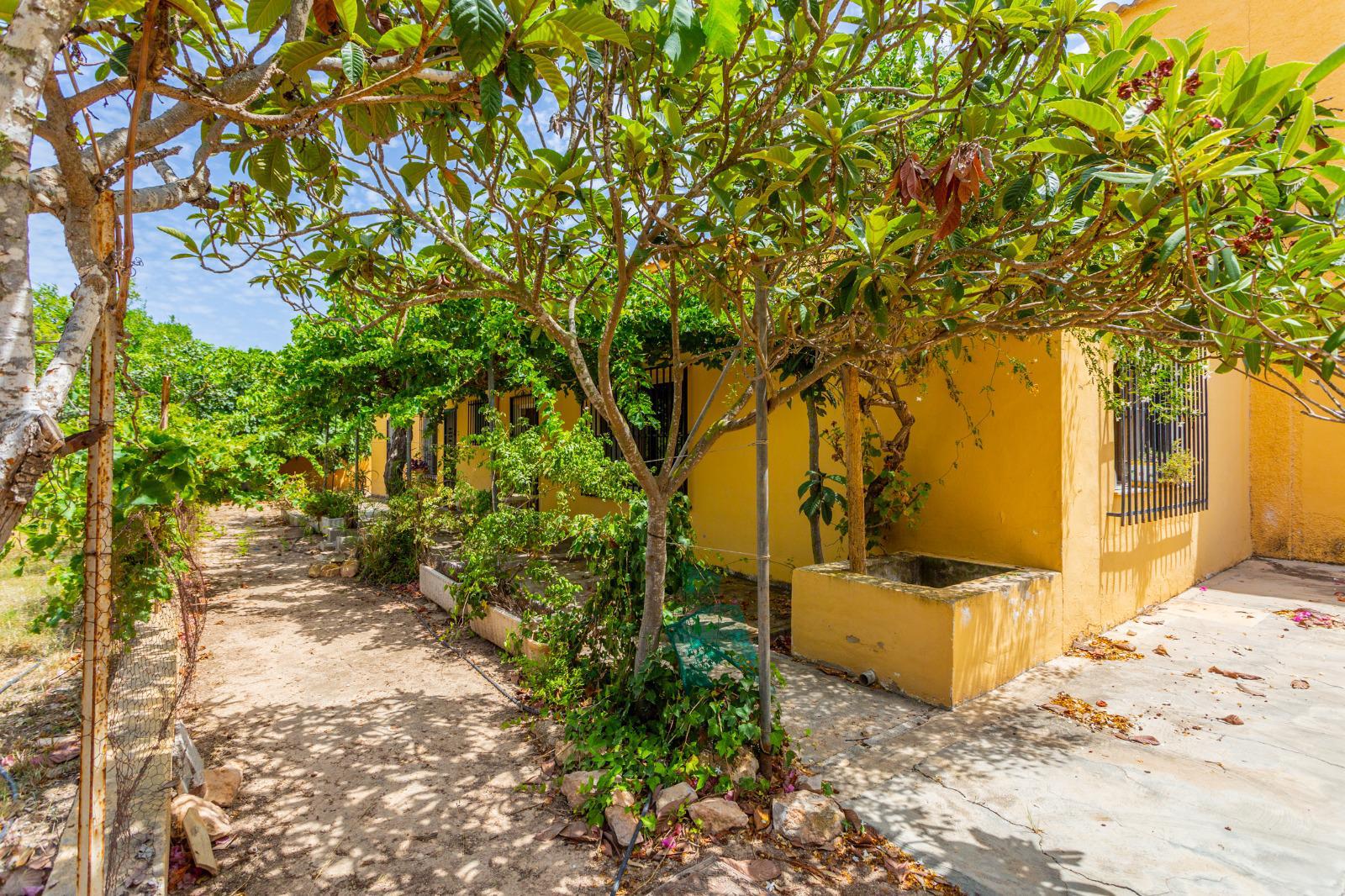 Finca-Los-Montesinos-4.jpeg