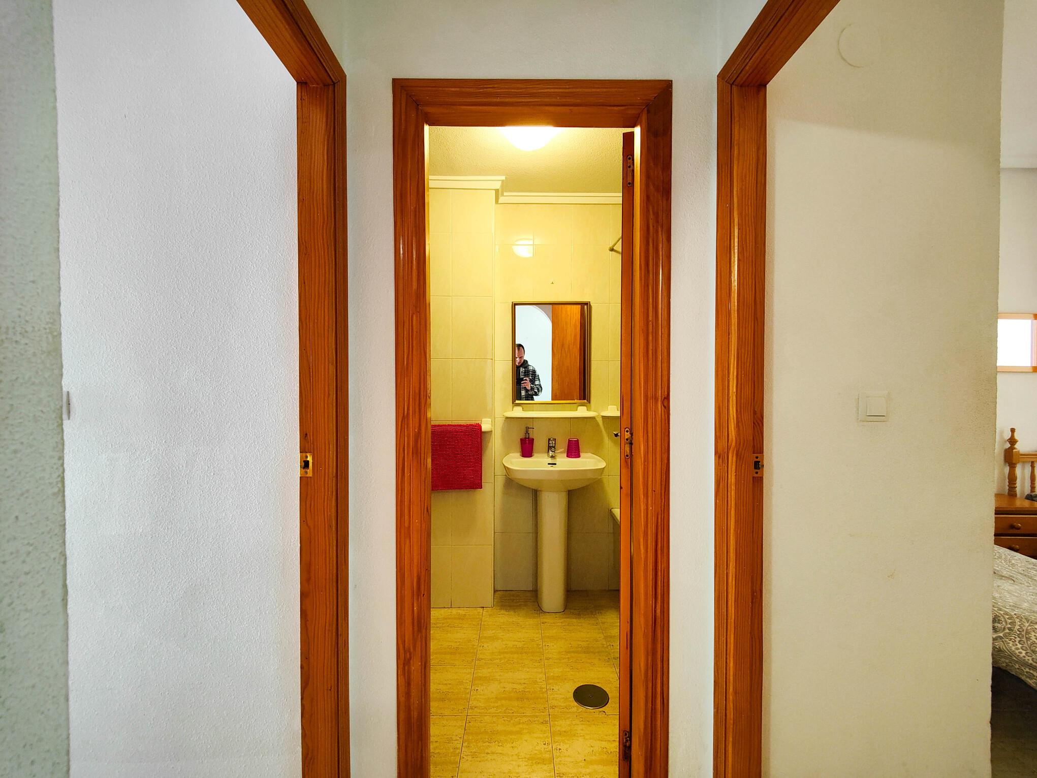 IMG20250128115915.jpg