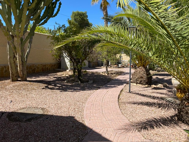 image22.jpeg