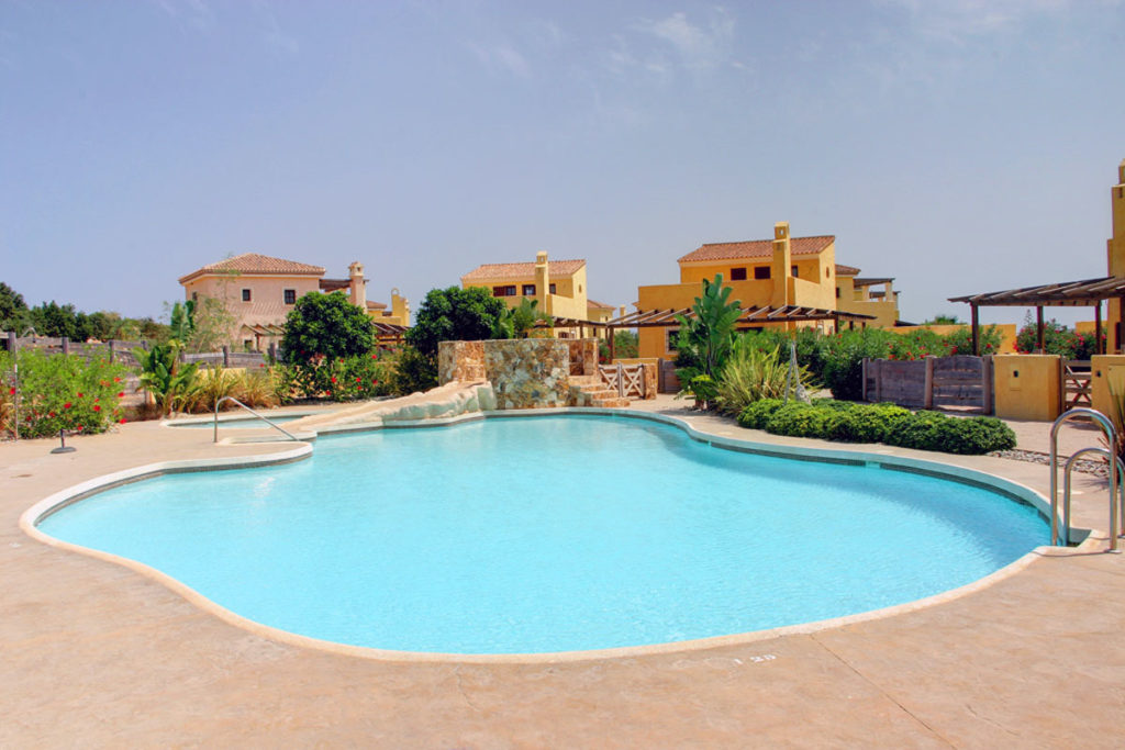 10-868.jpg