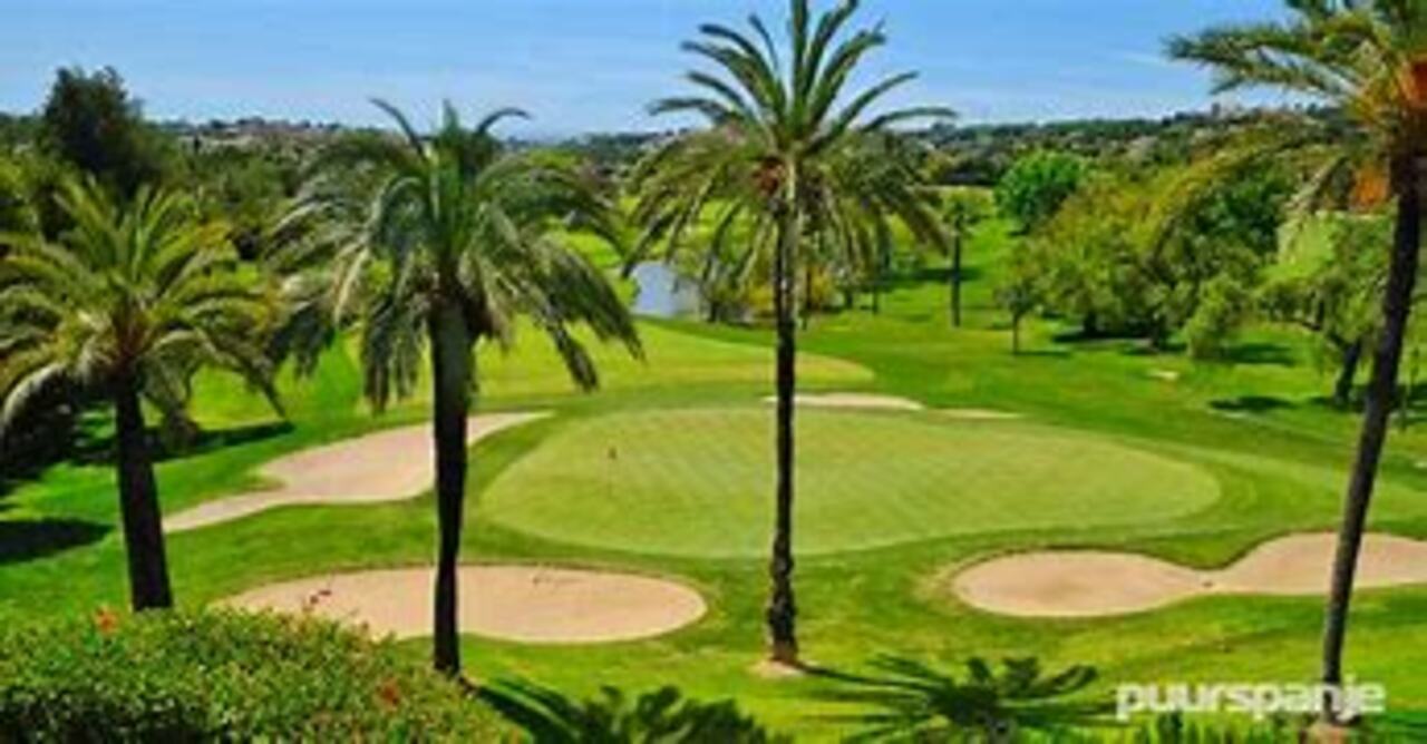 4197-town-house-for-sale-in-la-zenia-2560517-large.jpg