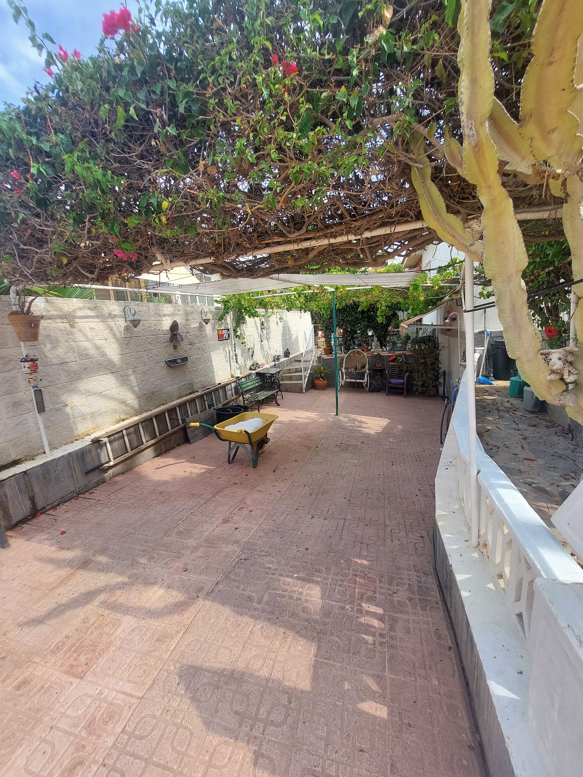 20240822-111112.jpg