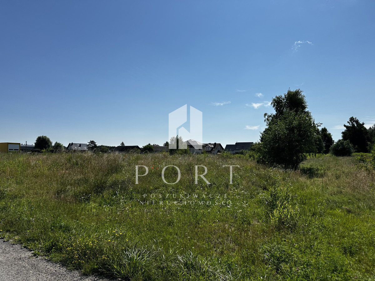 110961497_max.jpg